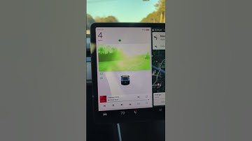 Why Are My Tesla Cameras Showing In A Green Color? #shorts #tesla #green #model3 #itsbroken #Camera