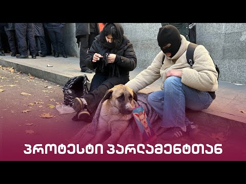პროტესტი პარლამენტთან | \"მთავარი არხის\" საგანგებო ეთერი