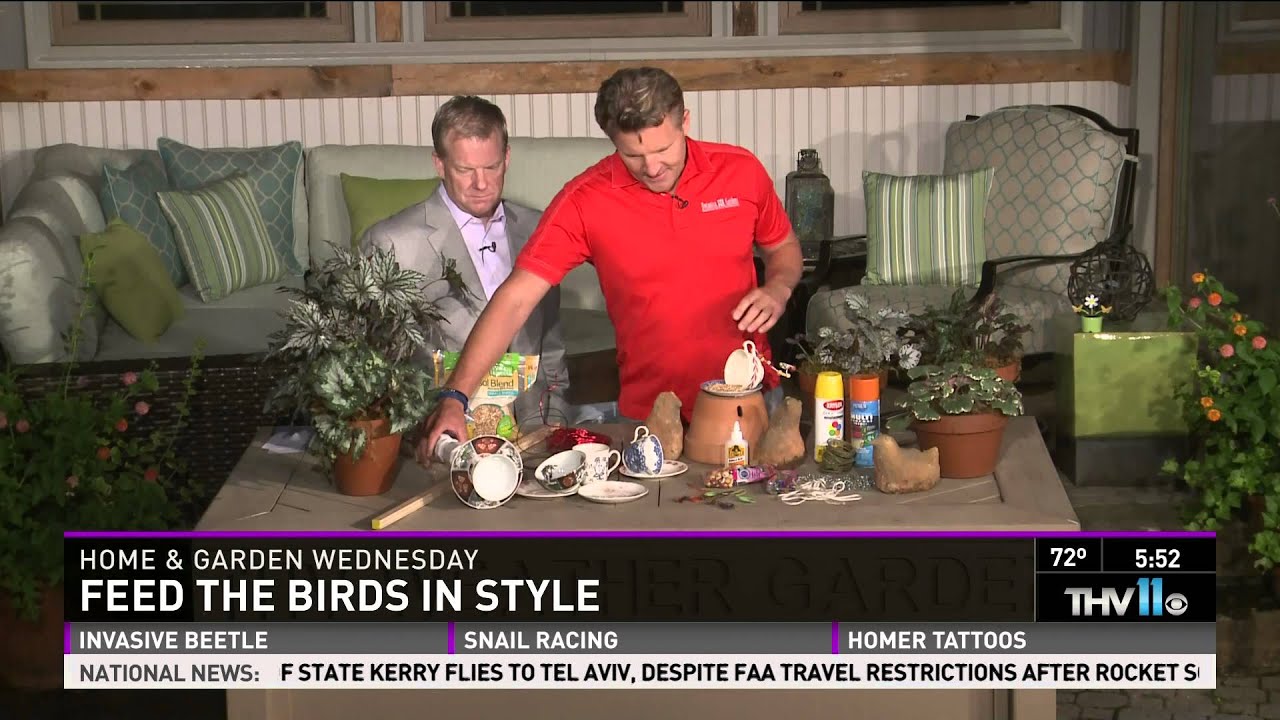 Feed the birds in style - YouTube