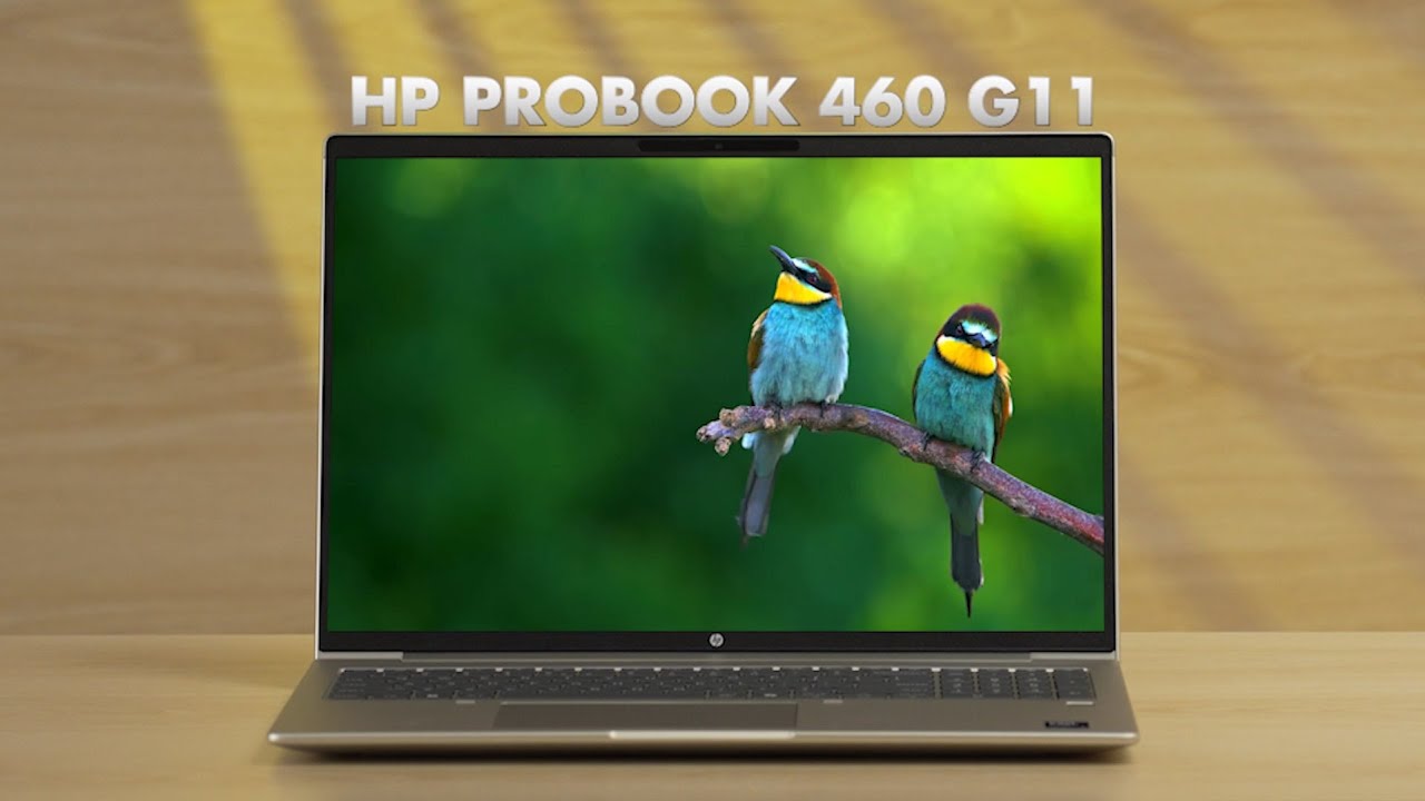 Ультрабук HP ProBook 460 G11/ 16