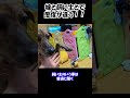 嫁と飼い主で態度の違う元猟犬　#shorts