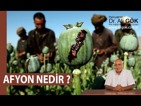 Afyon Nedir ? / 1.Bölüm