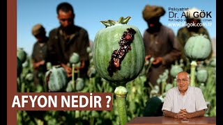 Afyon Nedir ? / 1.Bölüm