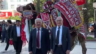 Kumlucada En Süslü Deve Seçildi