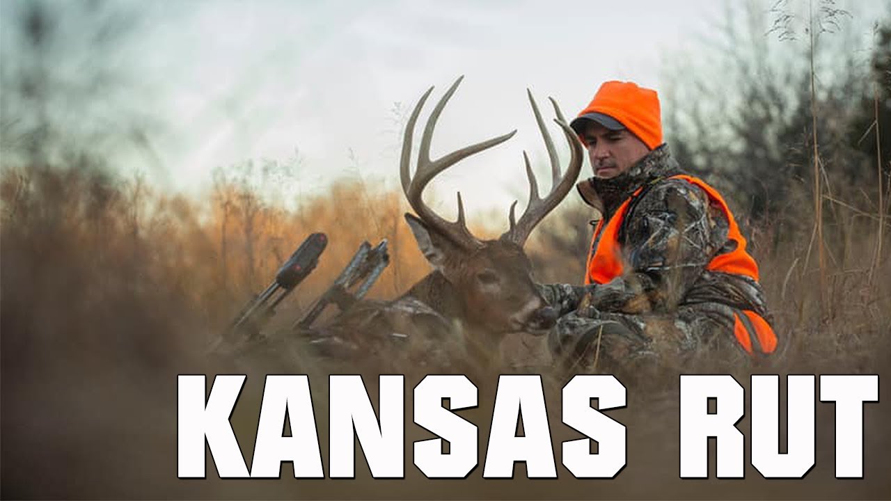 Bowhunting During Gun Season? YouTube