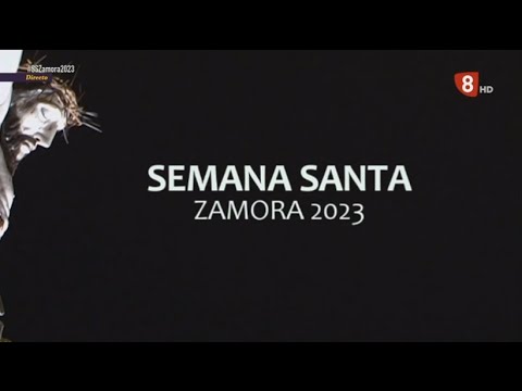 Procesión de la Hermandad Penitencial de Nuestro Señor Jesús, Luz y Vida