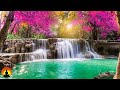 🔴 Study Music 24/7, Focus, Meditation, Concentration Music, Relaxing Music, Calm Music, Yoga, Study