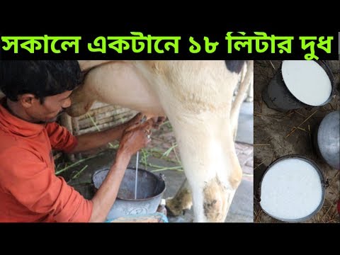 ভিডিও: কীভাবে লিটারে দুধ রূপান্তর করতে হয়