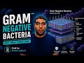 Gram Negative Bacteria Explained in 13 Minutes | Complete Guide 🦠