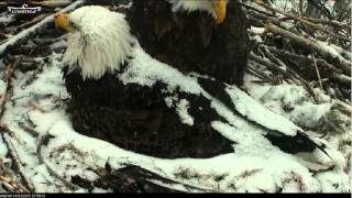 MN DNR Eagles Breakfast