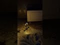 3 minutes #gaming #ghosthunting #phasmophobia #phasmophobiagame #horror #phasma #ghosthunting