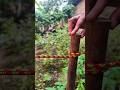 I Trust This Knot – Easy and Reliable!