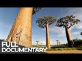 Amazing quest stories from madagascar  somewhere on earth madagascar  free documentary