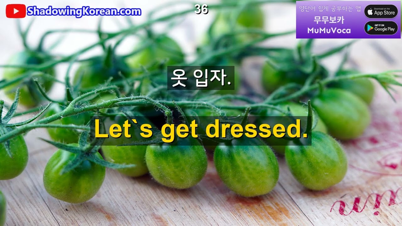 외국에서 꼭 필요한 영어 문장들입니다. 30분만 투자해 보세요 | 2026년 30분 공부 시리즈 #69