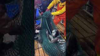 Zibonele Inkosazane Yamanzi