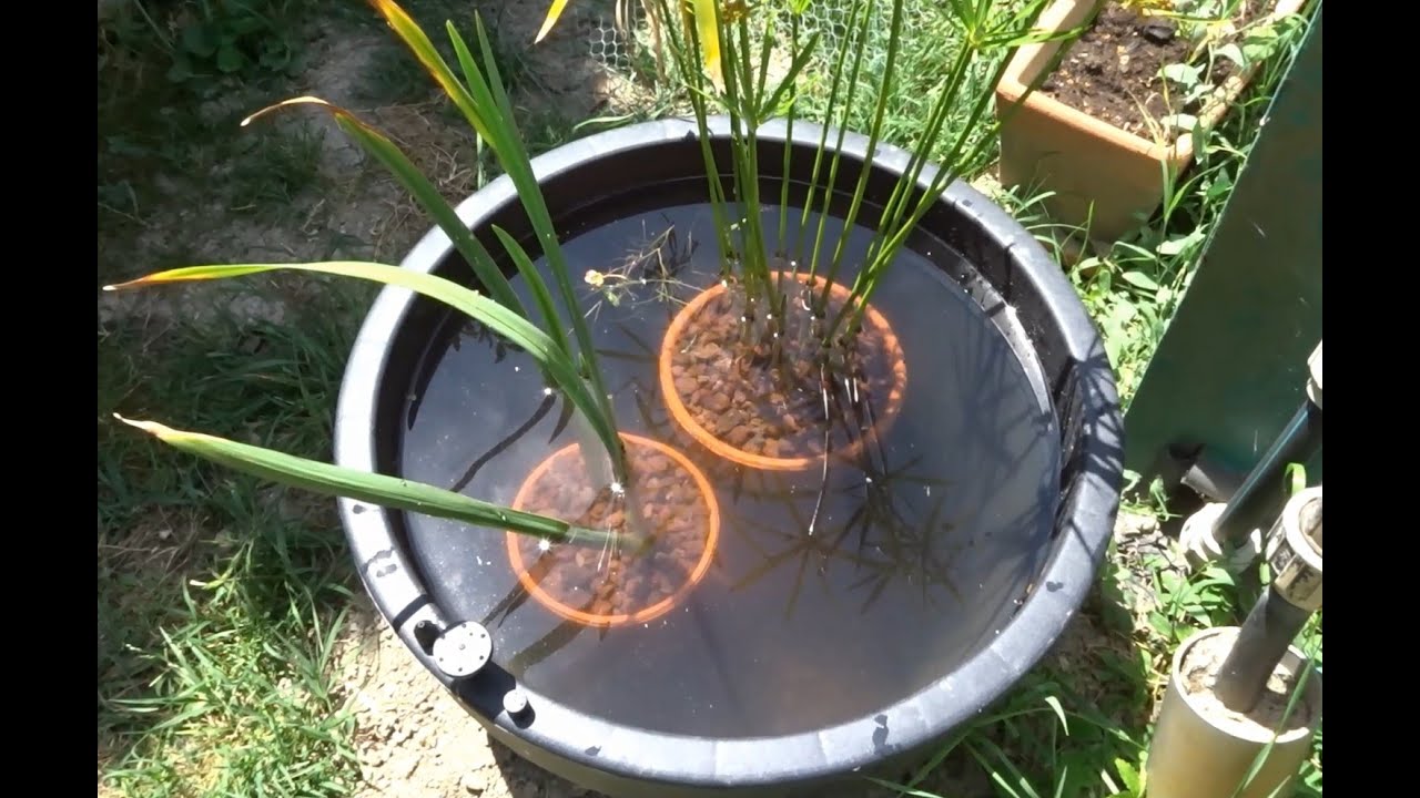 Un poubellarium dans mon jardin !