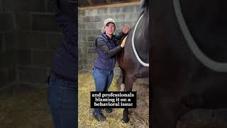 I Am Absolutely Fed Up With These Three Common Horse World Probs - Wbu??