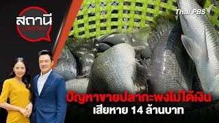 ปัญหาขายปลากะพงไม่ได้เงิน เสียหาย 14 ล้านบาท | สถานีประชาชน | 29 เม.ย. 67