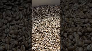 PROBAT Probatone 25 Coffee roaster