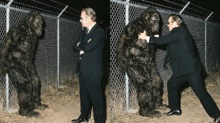 Retired CIA Agent Confirms They've Been Hiding Bigfoot Since 1973 - Shocking Sasquatch Story