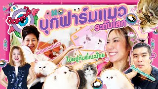 ANO Alert | บุกฟาร์มแมวระดับโลก!! แมวตัวละเกือบล้าน!!😺🐈‍💖