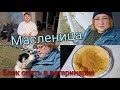 Влог 214 Блэк опять в клинике - масленица