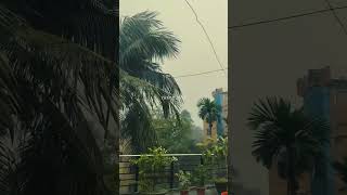 rainy vibe 🌿🌧️ #weather #reels #trending #rain #jashore #strom