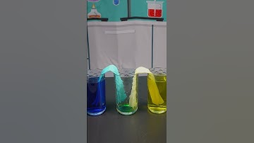 Walking Water #shorts  #education #scienceactivitiesforkids #sciencefactsforkids