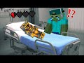 Minecraft BABY MOBS VISIT HOSPITAL MOD / SPAWN BABY MONSTERS AND WATCH THEM GROW !! Minecraft Mods