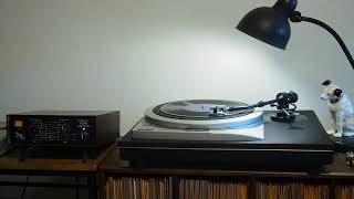 What Will I Do Without You, Sweetheart / Dubin's Dandies (Adrian Schubert and his Orchestra)