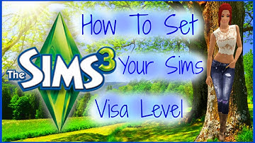 Sims 3- How To Change Your Sims Visa Level
