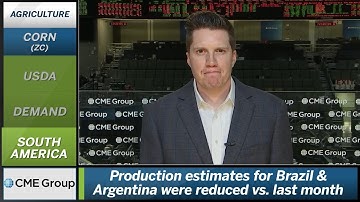 March 8 Grains Commentary: Joe Vaclavik