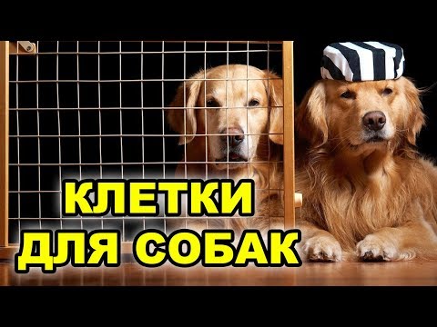 Клетки для собак