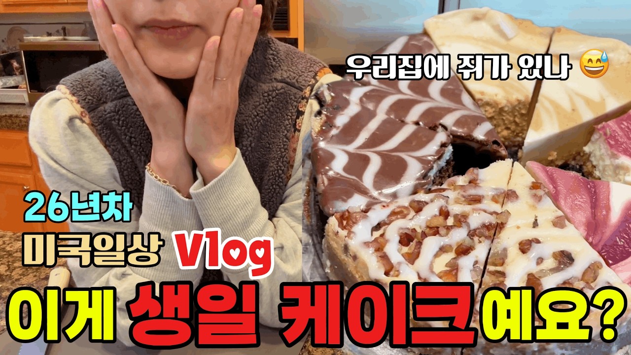 미국일상🇺🇸 이게 생일 케이크예요?/코스코에서 쫓겨나지 않으려고....