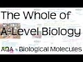 The Whole of AQA A-Level Biology | Biological Molecules | Revision