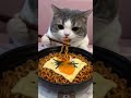Mukbang🐱 ASMR＃Mukbang ＃ASMR ＃EatingShow ＃FoodASMR ＃CatVideo ＃CatVideo