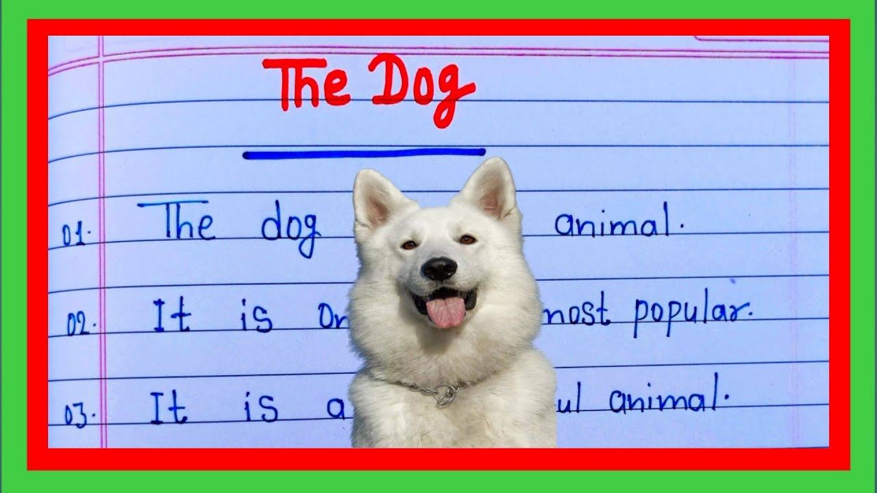 dog essay english mein