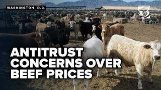 Trump admin targets 'big 4' meat packers in antitrust crackdown over beef prices