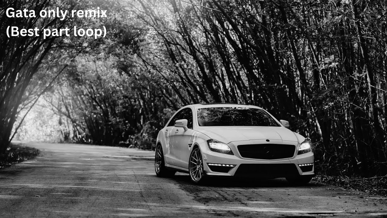 Gata only Remix Best part loop version