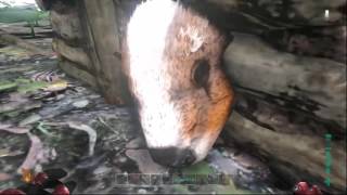 Xboxone Ark Taming a Beaver