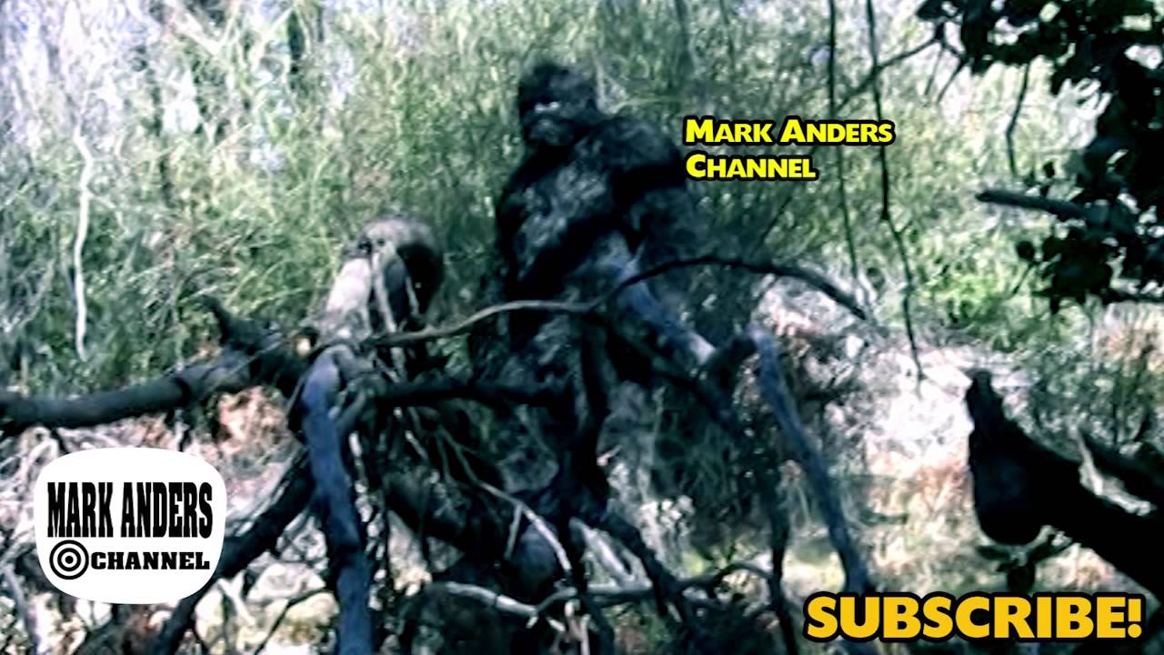 Is Bigfoot Texas Turning Towards Camera?