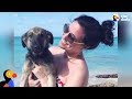 Woman's Vacation Turns Into A Dog Rescue Mission - RUMBA | The Dodo