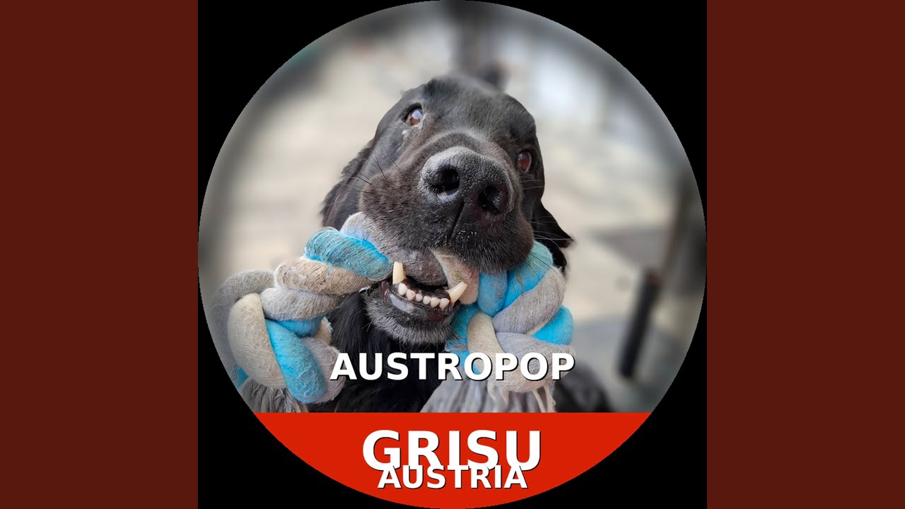 Der Letzte Tanz Am Graben