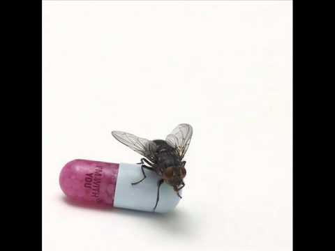 Ethiopia - Red Hot Chili Peppers