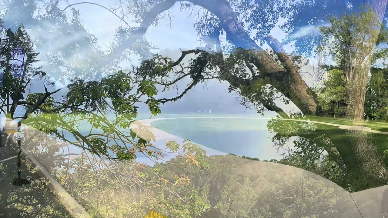 Tilden Park Lake Anza Berkeley Hills