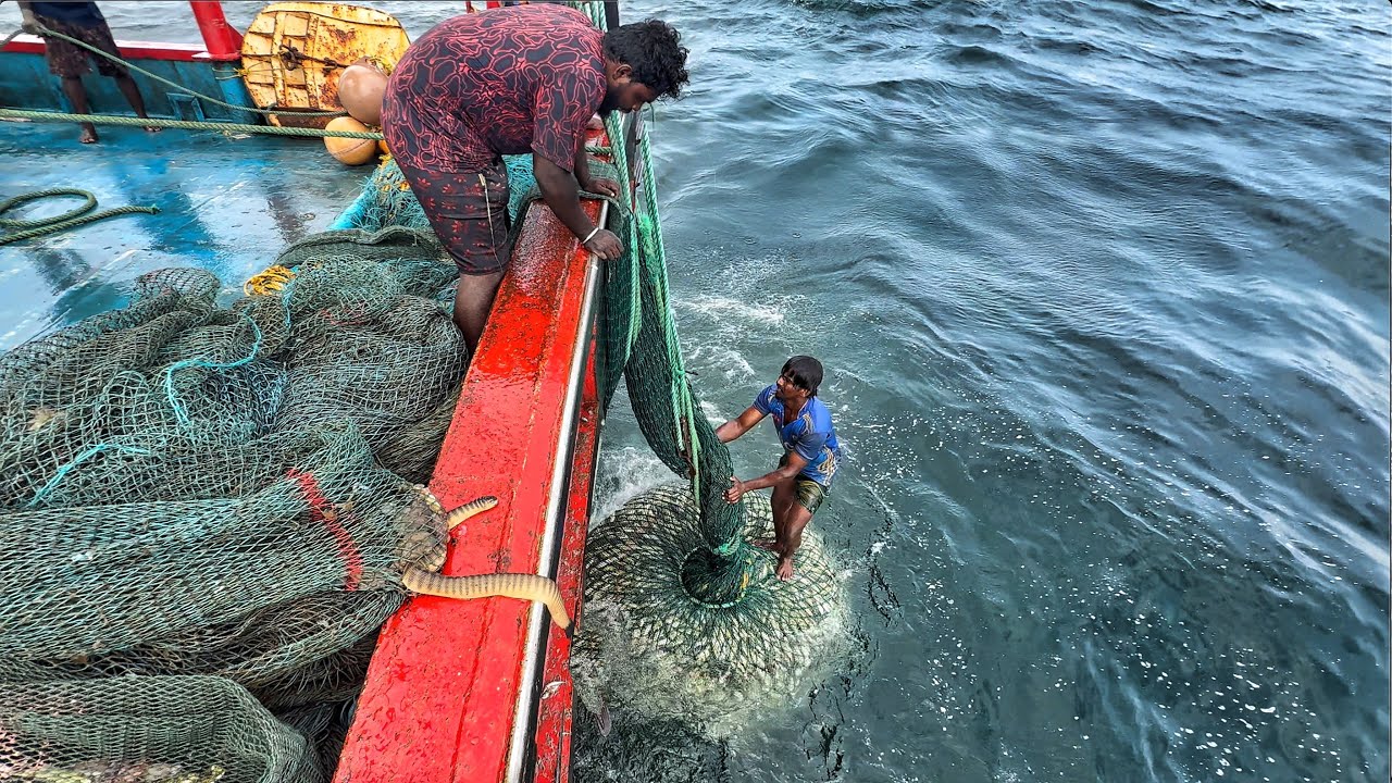 Biggest Catch of the Season! Final Day || Fishermen Reeling in Ocean’s Bounty! ⚓🐋