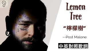 【Country】Post Malone 巨星馬龍- Lemon Tree 檸檬樹(Lyrics ... 