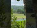 In The Midst of Nature | Nature Music & Mathematics #maths #viralshorts #youtubeshorts