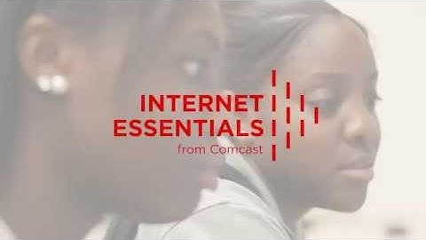Internet Essentials: Ginger
