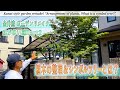 【庭作り】鉢の多い庭＃2「植木の整理＆シンボルツリーとは？」庭の匠が考えるシンボルツリーの概念・生垣の撤去抜根・植木の剪定移植・芝の剥がし方【金井流ガーデンリメイク】